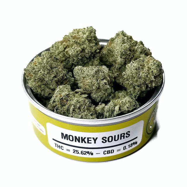 Buy Space Monkey Strain 136186 Space Monkey Meds Monkey Sours 01 1 Buy Space Monkey Strain By Space Monkey Meds