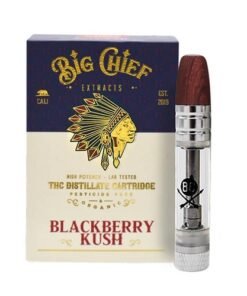 Big Chief Carts For Sale