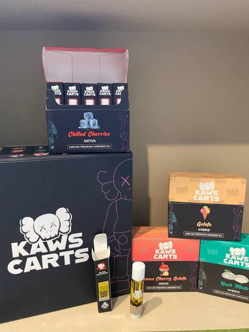 WhatsApp Image 2024 12 23 at 1.55.58 PM 1 2 Kaws Carts 1000MG